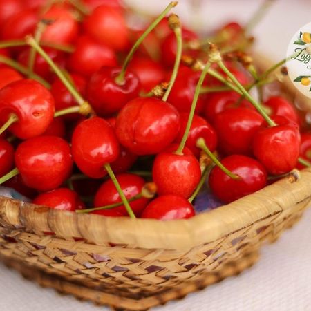 Zagare E Limoni Daire Ostuni Dış mekan fotoğraf
