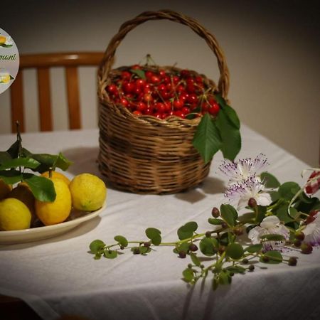 Zagare E Limoni Daire Ostuni Dış mekan fotoğraf