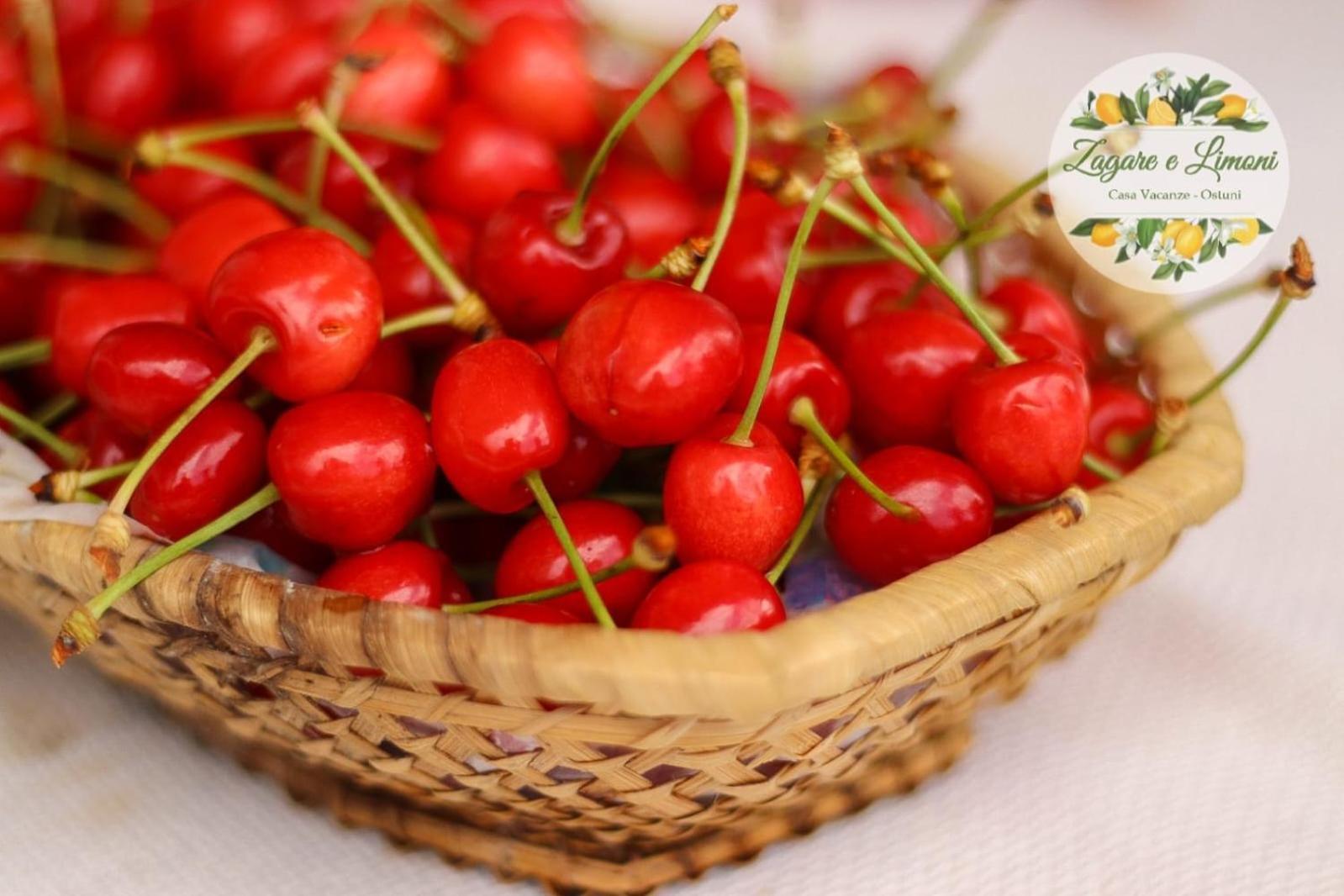 Zagare E Limoni Daire Ostuni Dış mekan fotoğraf