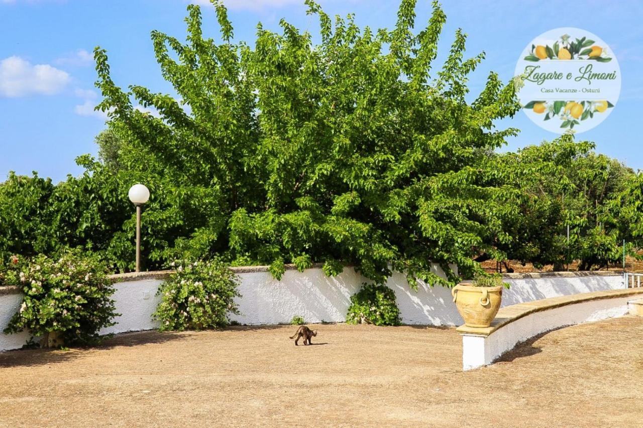 Zagare E Limoni Daire Ostuni Dış mekan fotoğraf